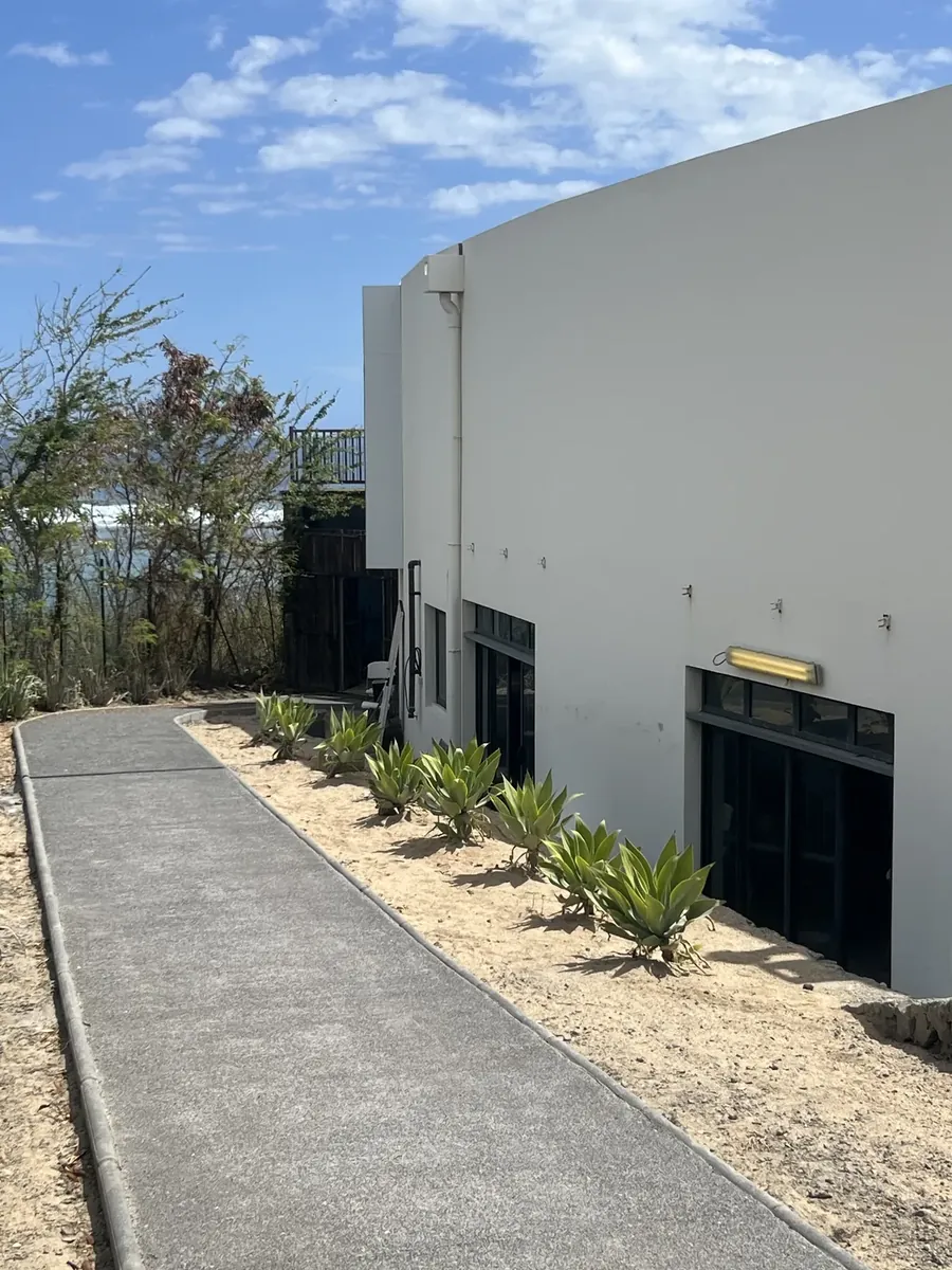Allée piétonne en béton désactivé bordée de plantations