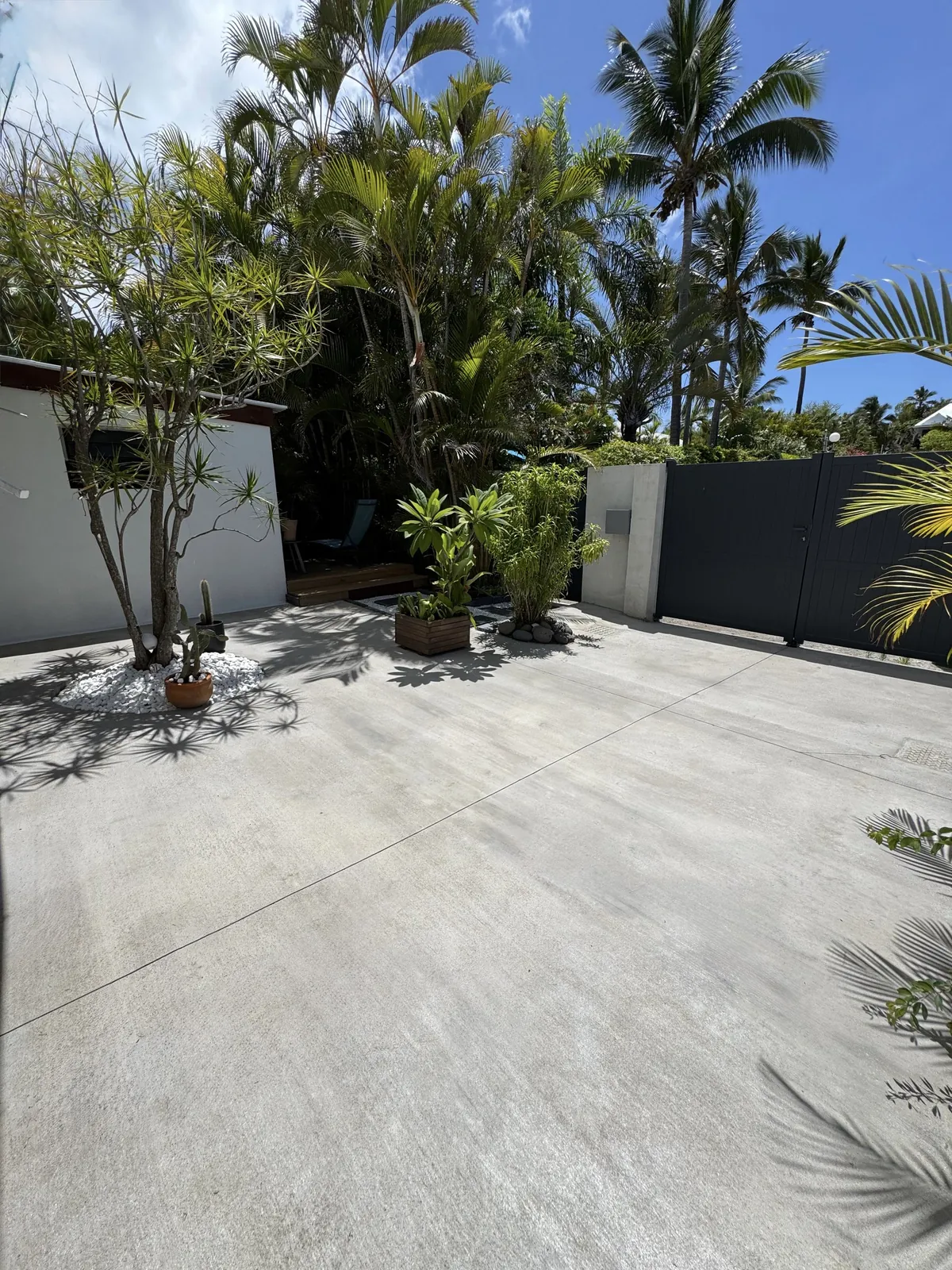 Grande terrasse en béton balayé clair entourée de palmiers à La Réunion