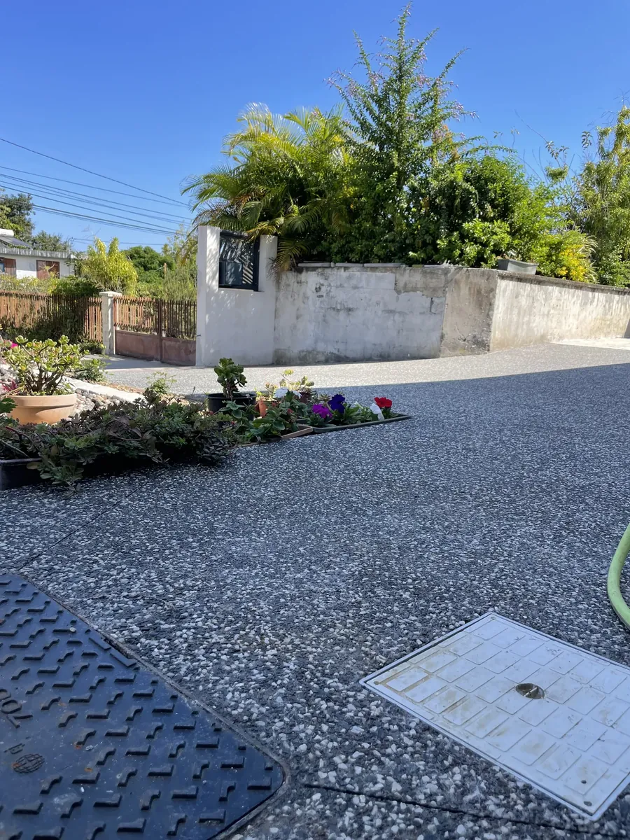 Cour en béton désactivé anthracite bordée d'un massif de plantes