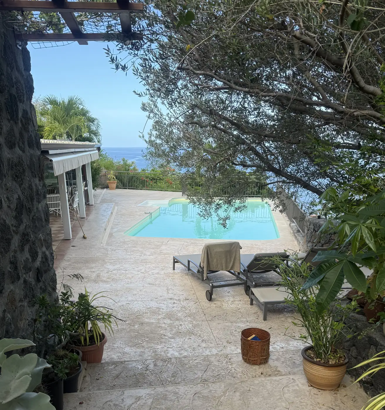 Coin transats sur une plage de piscine en béton imprimé, sous un olivier