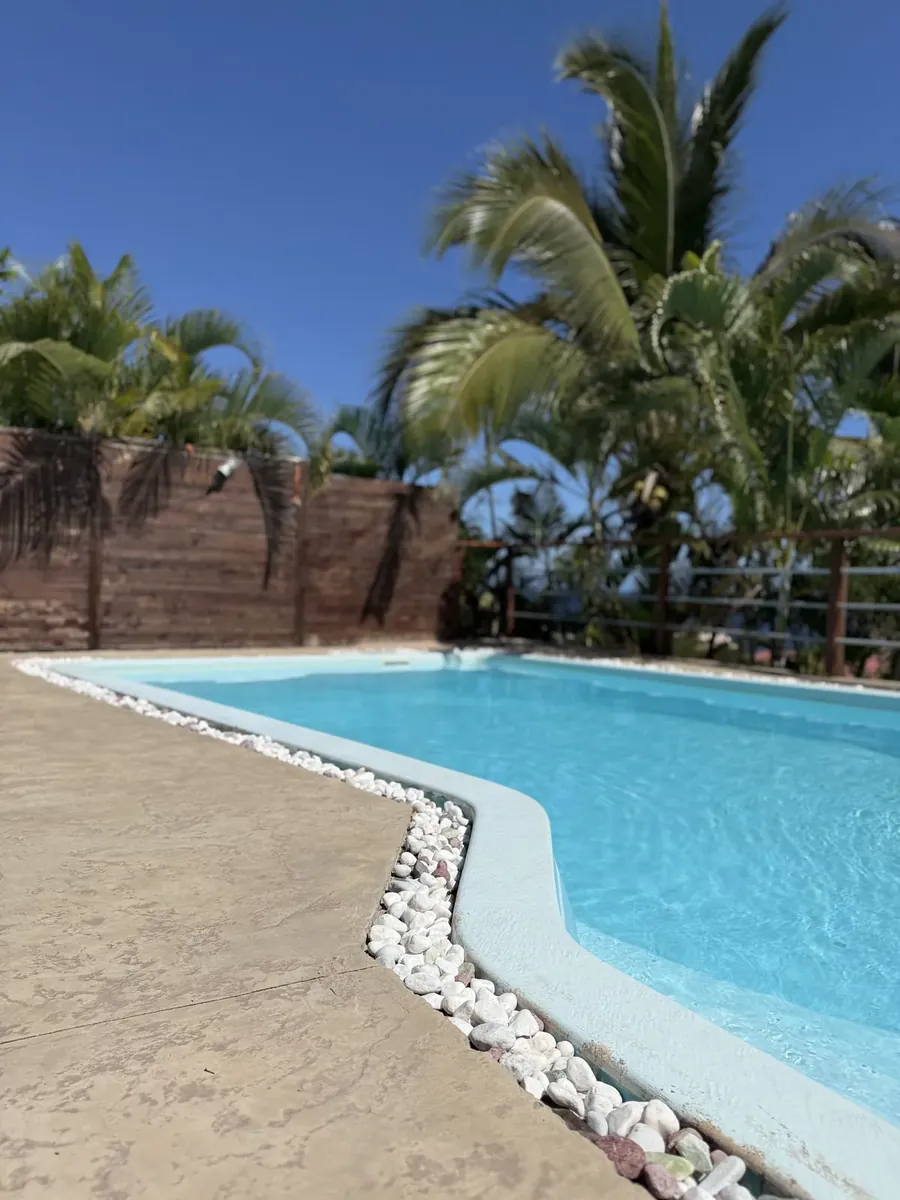 Plage de piscine sous les palmiers avec bordure de galets