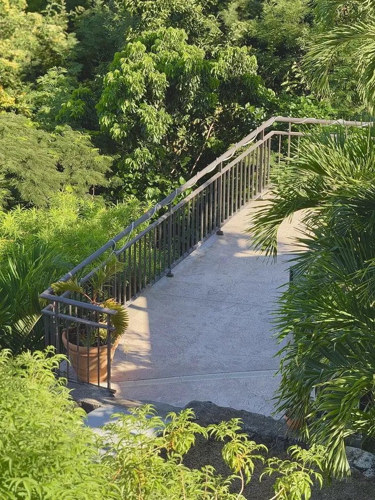 Terrasse en béton empreinte dans un jardin tropical